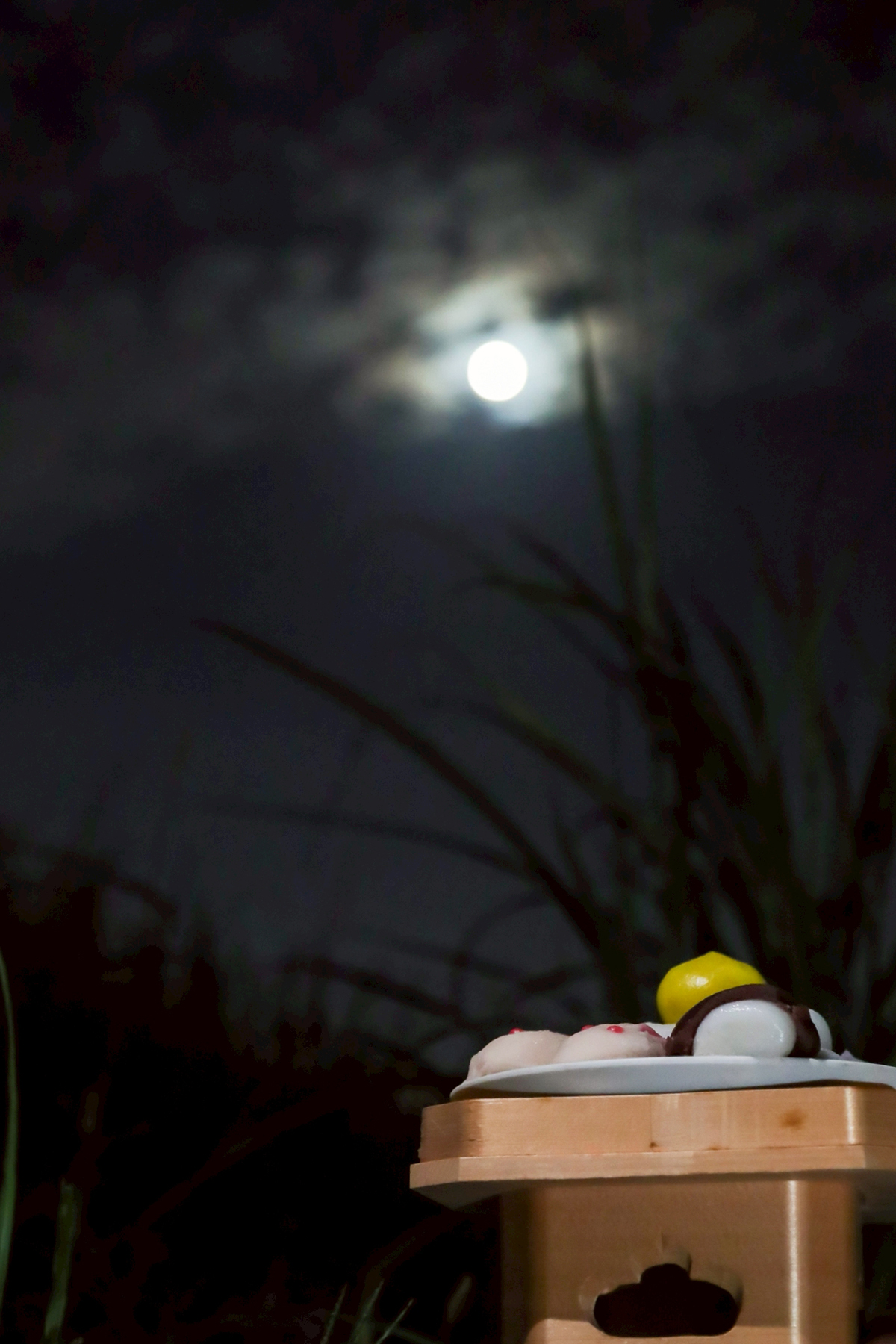 用意された月見団子と万博の月／撮影：上田成昭幹事